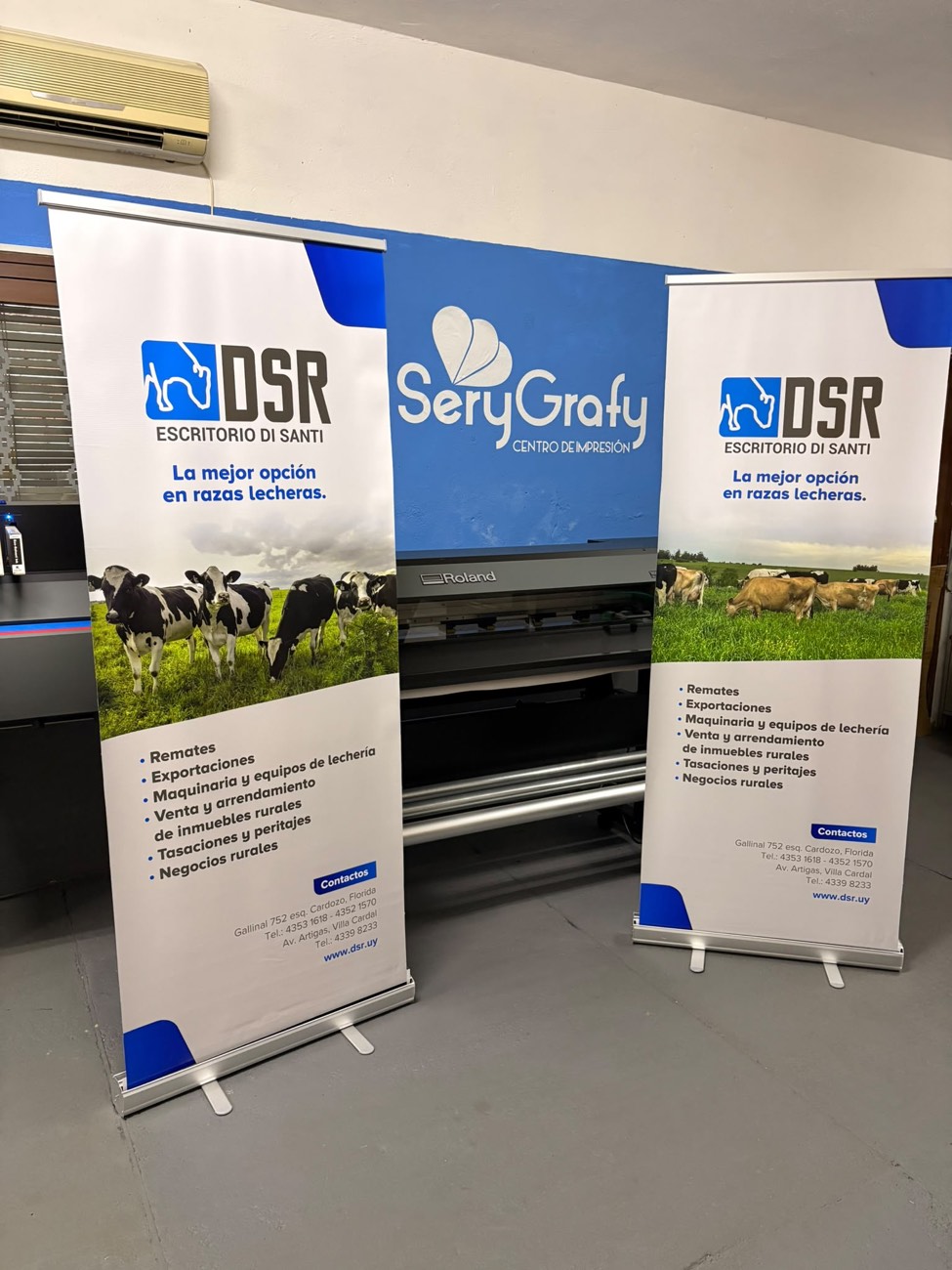 Roll Ups SeryGrafy